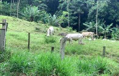 Imagem 6: Sítio para Venda em Cachoeiras de Macacu, Marubaí, 1 dormitório, 1 banheiro, 1 vaga