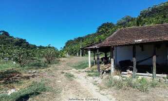 Imagem 7: Sítio para Venda em Cachoeiras de Macacu, Papucaia, 4 dormitórios, 2 banheiros, 2 vagas