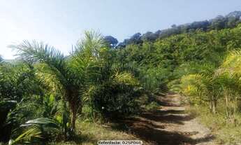 Imagem 2: Sítio para Venda em Cachoeiras de Macacu, Papucaia, 4 dormitórios, 2 banheiros, 2 vagas