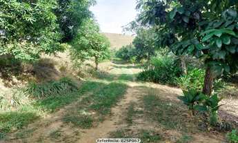 Imagem 7: Sítio para Venda em Cachoeiras de Macacu, Papucaia, 2 dormitórios, 1 suíte, 1 banheiro, 1