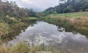 Imagem 6: Sítio para Venda em Cachoeiras de Macacu, Papucaia, 2 dormitórios, 1 banheiro, 1 vaga