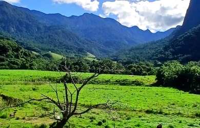 Imagem 5: Fazenda para Venda em Silva Jardim, Pirineus, 4 dormitórios, 1 suíte, 2 banheiros, 2 vagas