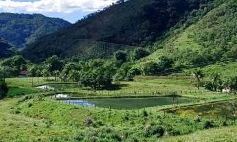 Imagem 7: Fazenda para Venda em Silva Jardim, Pirineus, 4 dormitórios, 1 suíte, 2 banheiros, 2 vagas