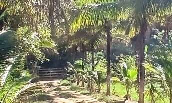 Imagem: Sítio para Venda em Tanguá, Lagoa Verde