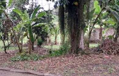 Imagem 4: Sítio para Venda em Tanguá, Pinhão, 3 dormitórios, 1 suíte, 2 banheiros, 2 vagas