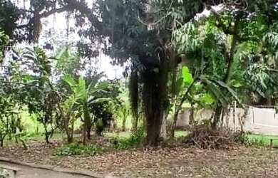 Imagem 5: Sítio para Venda em Tanguá, Pinhão, 3 dormitórios, 1 suíte, 2 banheiros, 2 vagas