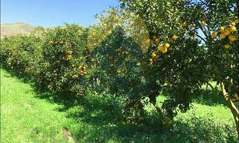 Imagem 2: Sítio para Venda em Tanguá, Posse dos Coutinho, 4 dormitórios, 1 suíte, 2 banheiros, 2 vag