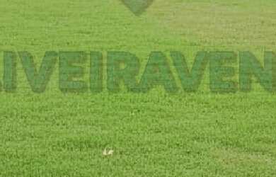 Imagem 6: Sítio para Venda em Tanguá, Cancela Preta, 3 dormitórios, 1 suíte, 2 banheiros, 2 vagas