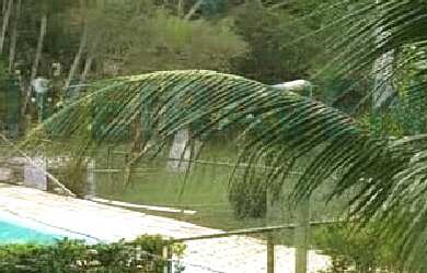 Imagem 2: Sítio para Venda em Tanguá, Cancela Preta, 3 dormitórios, 1 suíte, 2 banheiros, 2 vagas