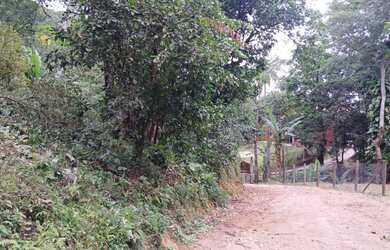 Imagem 7: Sítio para Venda em Cachoeiras de Macacu, Guapiaçu