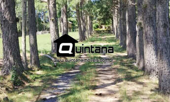 Imagem: Vendo chácara de 5 hectares no Morro Redondo