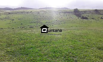 Imagem: Fazenda para pecuária em Pinheiro Machado