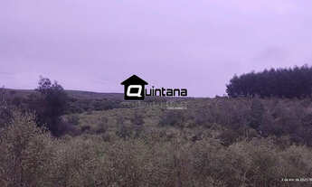 Imagem 5: FAZENDA COM REFLORESTAMENTO