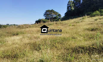 Imagem: Vendo 9 hectares em Pelotas na cascatinha