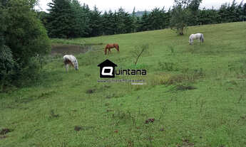 Imagem 2: Chácara na trapeira em canguçu