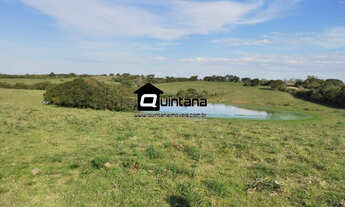 Imagem: Vendo 76 hectares Canguçu