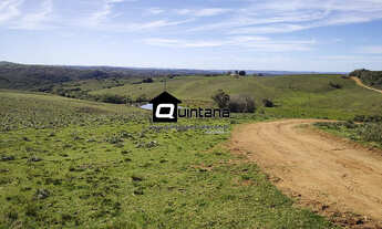 Imagem 2: Fazenda de 520 hectares R$ 16.000/ha