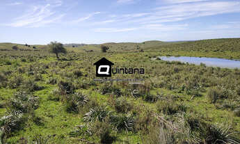 Imagem 7: Fazenda de 520 hectares R$ 16.000/ha