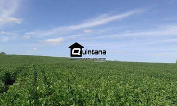 Imagem: Fazenda em Arroio Grande 50 hectares