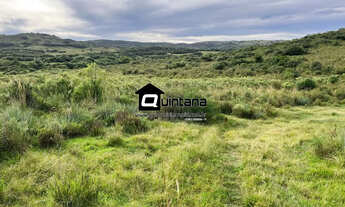 Imagem: Sítio de 20 hectares em Piratini