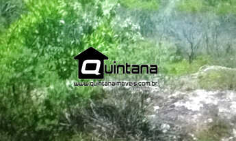 Imagem 3: Vendo 210 hectares em Caçapava do Sul