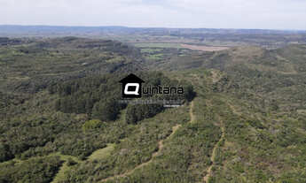 Imagem 5: Vendo 210 hectares em Caçapava do Sul