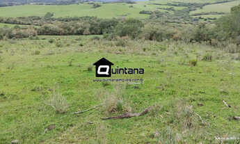 Imagem: Vendo 45 hectares em Piratini 5° distrito