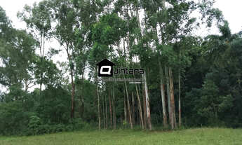 Imagem 4: Chácara na trapeira em canguçu