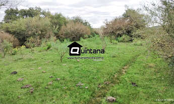 Imagem 4: Vendo 45 hectares em Piratini 5° distrito