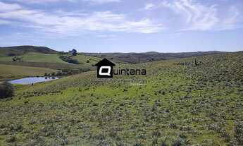 Imagem 5: Fazenda de 520 hectares R$ 16.000/ha