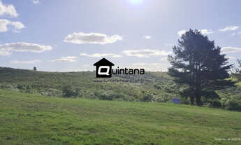 Imagem: Vendo 68 hectares em Herval RS