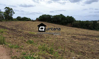 Imagem: Vendo 63 hectares em Sentinela do Sul