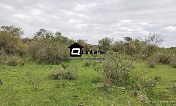 Imagem 3: Vendo 45 hectares em Piratini 5° distrito