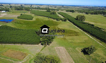 Imagem 2: Venda de 50 hectares em Rio grande RS no Povo Novo