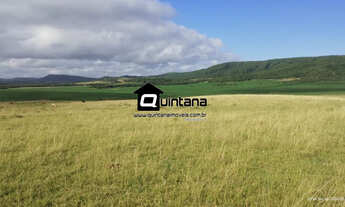 Imagem: Arrendamento 550 hectares em Encruzilhada