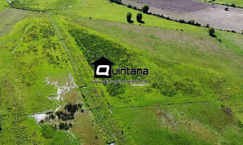 Imagem 3: Venda de 50 hectares em Rio grande RS no Povo Novo