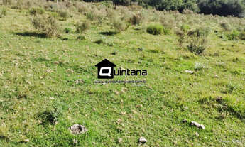 Imagem: FAZENDA DE 450 HECTARES EM HERVAL