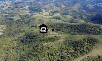Imagem 3: Vendo Fazenda em Santana da Boa Vista, 105 hectares