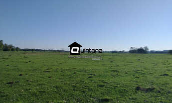 Imagem: Vendo Fazenda em Cristal 409 hectares