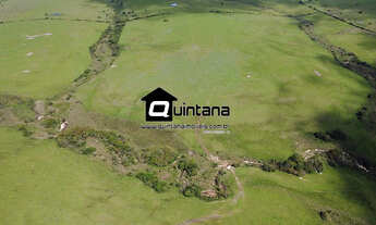 Imagem 2: VENDO 80 HECTARES EM SANTANA DA BOA VISTA