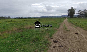 Imagem: Venda 66 hectares à 17km de Pelotas, porteira