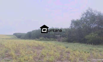 Imagem: FAZENDA COM REFLORESTAMENTO