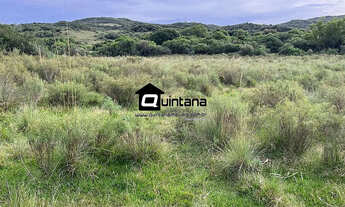 Imagem 4: Sítio de 20 hectares em Piratini