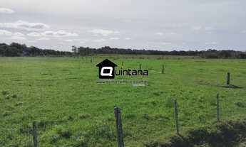 Imagem: Vendo 47ha porteira fechada 1 km da BR