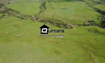 Imagem: VENDO 80 HECTARES EM SANTANA DA BOA VISTA