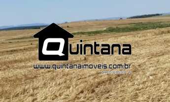 Imagem: Fazenda em Cachoeira do Sul 2300 hetcares