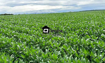 Imagem: Fazenda em Cachorira do Sul 410 hetcares