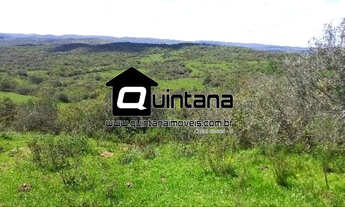 Imagem: Vendo 50 hectares em Pinheiro Machado