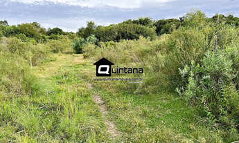 Imagem 6: Sítio de 20 hectares em Piratini