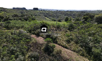Imagem 7: Vendo 210 hectares em Caçapava do Sul